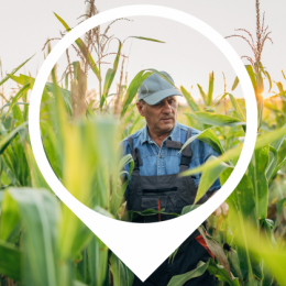 Farmer in field